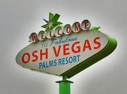 6th May 2012 - Viva Osh Vegas