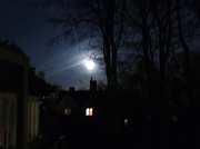 7th May 2012 - Give me the moonlight!