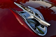 7th May 2012 - Hood ornament, 1956 Ford