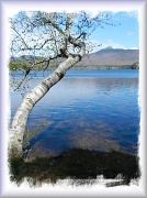 7th May 2012 - AM Lake View