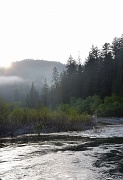 7th May 2012 - Dawn Breaks Through the Fog on the Eel River