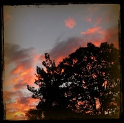 8th May 2012 - Dusky Sunset