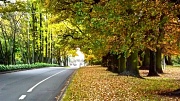 8th May 2012 - Christchurch in Autumn