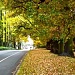 Christchurch in Autumn by maggiemae