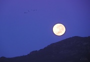 3rd May 2012 - Moon Set tweeked