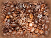 8th May 2012 - Coffee Beans
