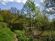 8th May 2012 - A walk by the river Teme.