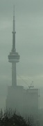 8th May 2012 - CN tower a crane and some fog...