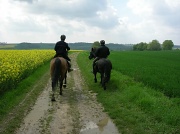 7th May 2012 - The path through the fields