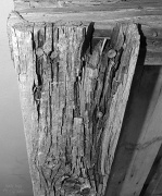 9th May 2012 - Weathered Wood