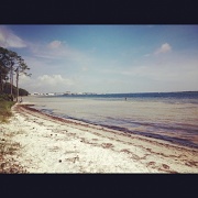 5th May 2012 - St. Andrew's Bay- Panama City, FL