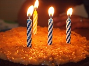 6th May 2012 - Happy Birthday Astor!