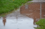 3rd May 2012 - Raindrops in puddles