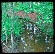 10th May 2012 - The Creek