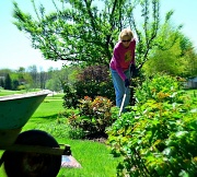 10th May 2012 - Gardening