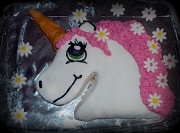 10th May 2012 - A unicorn for Imms