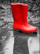 10th May 2012 - Lone wellie.