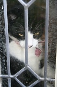10th May 2012 - Let me out!