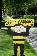 10th May 2012 - Just bee!