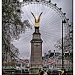 365-134 London Eye by judithdeacon