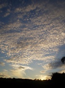 21st Jun 2010 - Mackerel  sky.