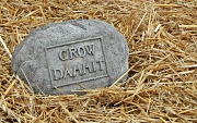 11th May 2012 - Grow.....