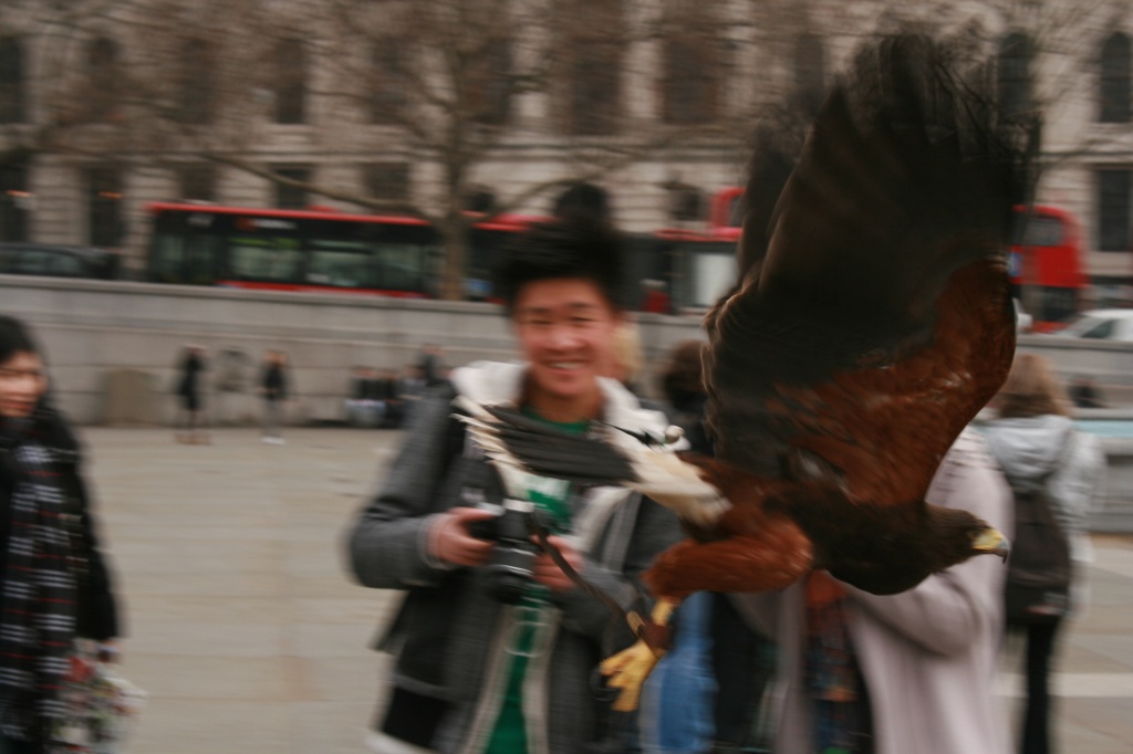 An eagle in Trafalgar Square by mariadarby