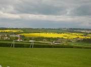 11th May 2012 - Rape seed Fields