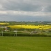 Rape seed Fields by clairecrossley
