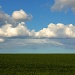 Field, Cloud and Sky by natsnell