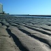 Sandy Shore by calm