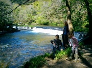 13th May 2012 - Plym Woods  