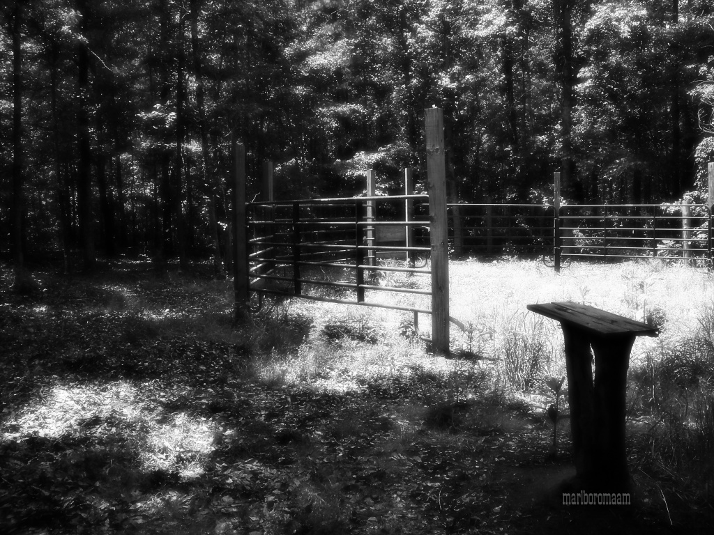 Old corral and round pen... by marlboromaam