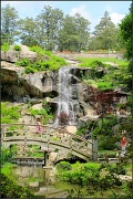 14th May 2012 - Japanese Garden, Maymont