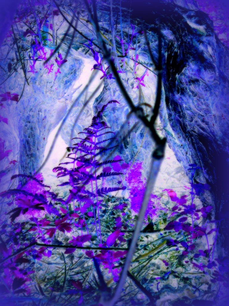 Enchanted Forest (purple abstract) by yentlski