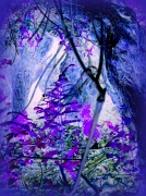 12th May 2012 - Enchanted Forest (purple abstract)