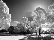 14th May 2012 - infrared b&w - Tidbinbilla - Canberra Deep Space Communication Complex