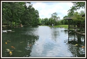 15th May 2012 - Koi Pond, Maymont