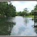 Koi Pond, Maymont by allie912
