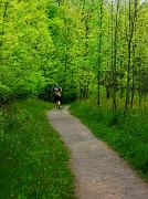 30th Apr 2012 - Afternoon Jogger