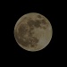 My Moon Shot by brillomick