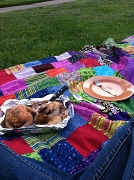 2nd May 2012 - Picnic in the Yard