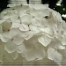 white hydrangea by summerfield