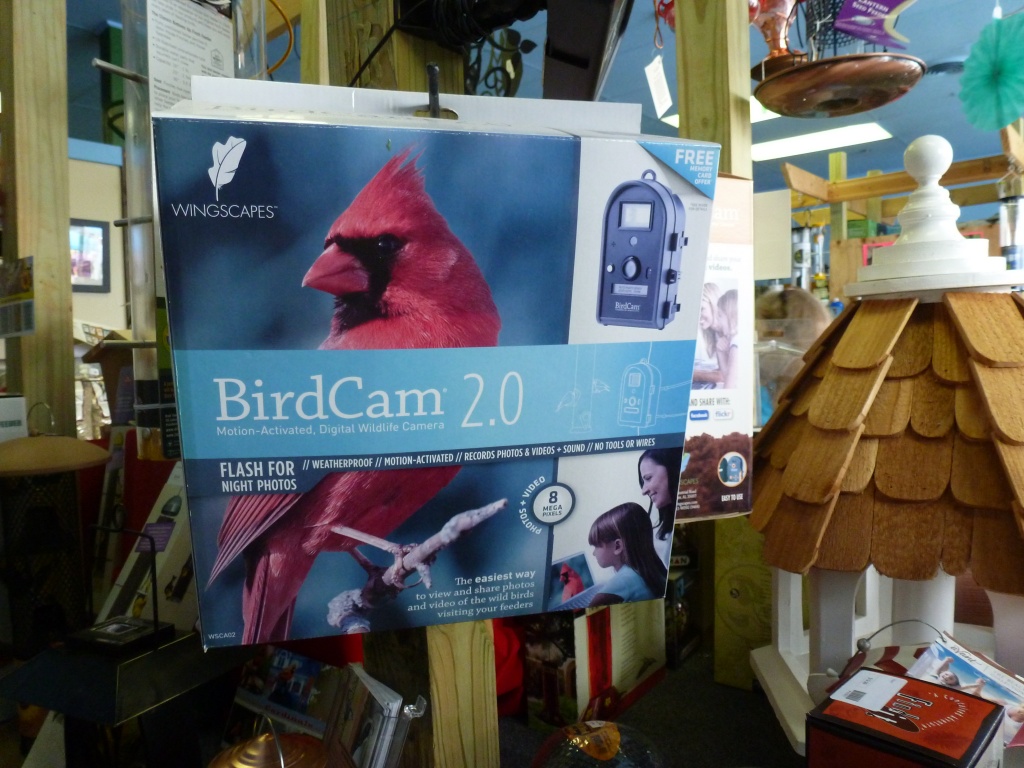 BirdCam 2.0 by margonaut