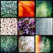 Patterns by mastermek