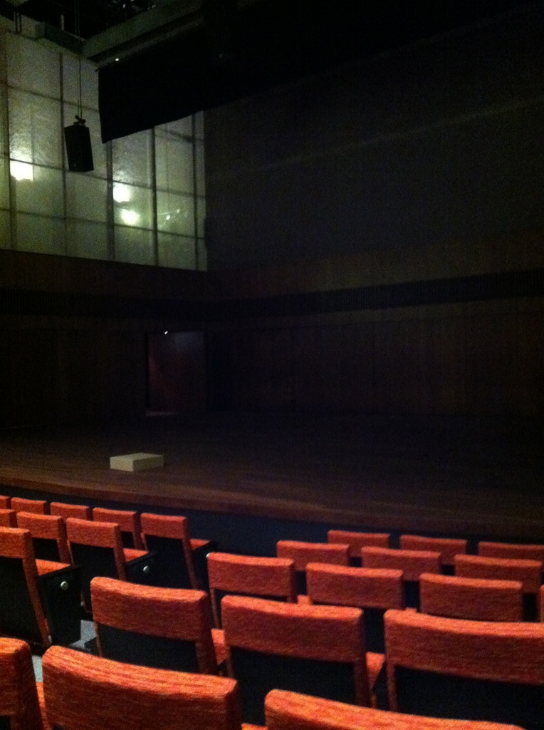 New Theatre!!! by labpotter