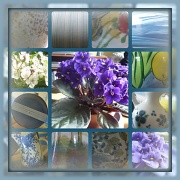 15th May 2012 - blues and flowers 