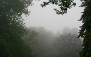 15th May 2012 - A picture of fog