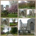 Around Elgin Cathedral by sarah19