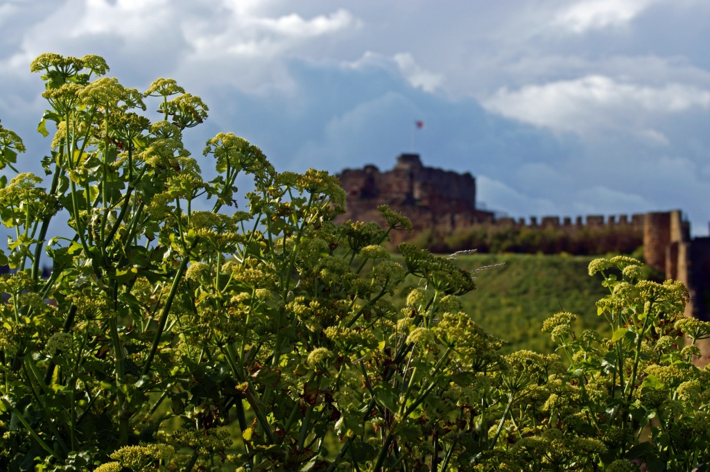 Tynemouth Castle by bmnorthernlight